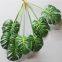 High Grade Green Plant 7 Branches Real Touch Turtle Leaf Artificial Plants