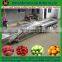 Fruit & Vegetable Washing Drying Waxing Sorting Line Machine Fruits Processing