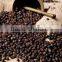 Fine Grade Organic Black Pepper At Your Door Step