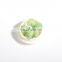 New Arrival 12 Colors Dried Flowers 3d Natural Gyps Nail Art Decorations