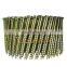 High Quality Smooth, Ring, Screw Galvanized or painted Coil Nails