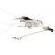 Amazon Hot Sale shrimp silicon 9cm 6.5g Luminous Bait For Saltwater Freshwater Trout Bass Salmon artificial shrimp