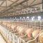 prefab steel structure construction for pig farm shed house building