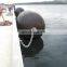6.5m dock protection marine boat pneumatic rubber fender