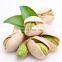 pistachio price newest crop 1kgs 2kgs 10kgs 20 kgs  pistache phistachios pistazien pistachio nuts in shell raw shelled turkey