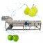 high pressure air bubble fruit washing machine orange strawberry apple lemon cleaning machine stainless steel fruit washer