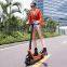 Lu Xiaofeng Electric Scooter X9