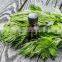 10-30L Beifu essential oil Destillationseinrichtung