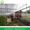 Agriculture Green House Suppliers In Middle East                        
                                                Quality Choice