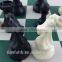 chess pieces with plastic black and white /chess pieces with plastic