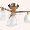 comtempary wooden glass ceiling light home ceiling lamp