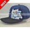 custom 5panels flat hat/snapback caps/sports caps