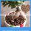 light expanded clay pebbles for hydroponic growing media