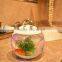 fashion glass bullet aquarium fish tank guppy fish, betta fish,toy fish aquarium fish tank