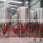 60HL SUS 304 steel jacketed commercial fermenters