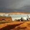 Agricultural Greenhouses for Soilless Hydroponics NFT Systems for Tropical and Desert Areas