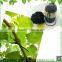 Black PVC garden tree ties