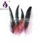Black Saddle Badger Rooster Feathers