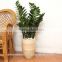 Eco-friendly selfwatering indoor bamboo planter
