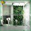 2015 new products vertical plastic green wall for home decor