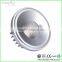 15W Factory Price Special Design High Quality COB LED AR111 Spotlight