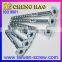 Taiwan Standard Hex Socket Flat Head Wood Screw