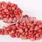 Red skin peanut kernels with good quality for sale