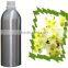 natural litsea cubeba oil litsea cubeba essential oil