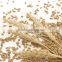 GMP Certified Wheat Germ Oil Food Grade