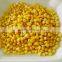 manufacture price sweet corn in can