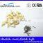 500 Dental Grain Dental Eduction Assitant No. DEA-12