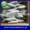 READY STOCK FOR SUPPLY MUROAJI FOR TUNA BAIT