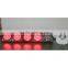 WDM Customized Playground Signal Light 200mm Traffic Light Remote Control
