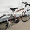 Hot selling natural environmental bamboo bicycle bamboo bike