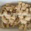 fresh ginger fresh food manufacturers in China