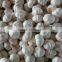 5p/3p garlic package/ garlic in bulk package