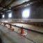 modern low price Poultry Farm chicken Buildings shed for sale