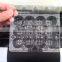 plastic quail eggs tray /supply 12hole quail egg blister tray