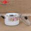 5pcs new enamel lid enamel steam pot/coated cast iron cookware wholesale