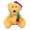 Customized Teddy Bear Plush Toy Kids Birthday Souvenirs Message