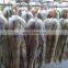 Factory wholesale fluffy and smooth real raccoon fur hood trim for coat