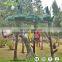 Zoo Equipment Electric Parrot Animal For Sale