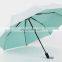 High Quality Fully Automatic Women Umbrella Beautiful Rose Eiffel Tower Painting Foldable Umbrellas CJUB-012