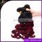 Ombre Hair Extensions Cheap 8A Brazilian Virgin Hair Body Wave1B/BUG Brazilian Human Hair Weave Bundles 10-26inch Paypal Accept