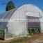 Greenhouse used 200 microns film roll / HDPE plastic sheet for Soyabean and Vegetable cultivation