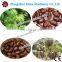 2018 Hot Sale Castor Bean Shelling Machine/Castor Bean Sheller
