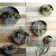 Decorative Hanging Planters Corten Steel Circle Wall Pocket