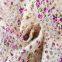 swiss eyelet embroidery fabric 100% cotton cord lace embroidered