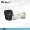 Infrared Thermal Imaging 2.0MP Network Security CCTV IP Camera