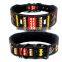 Comffortable Light Reflective Cloth Pet Collar Leash Training Dog Printed Rope Pet Chain Pulling Rope